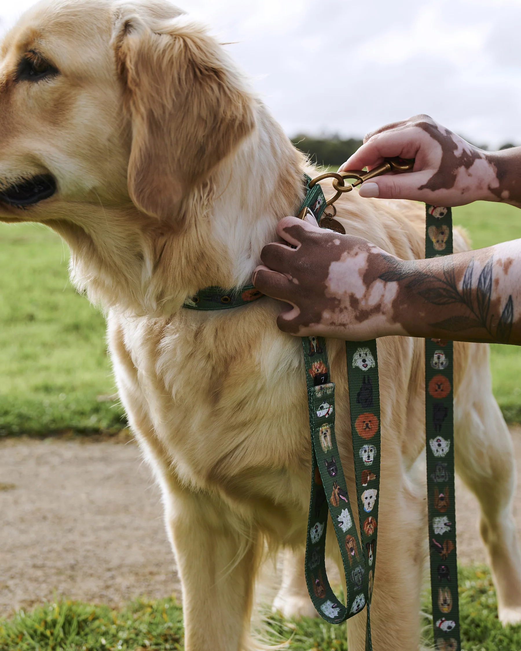 Dog Park Dog Lead - Image 6