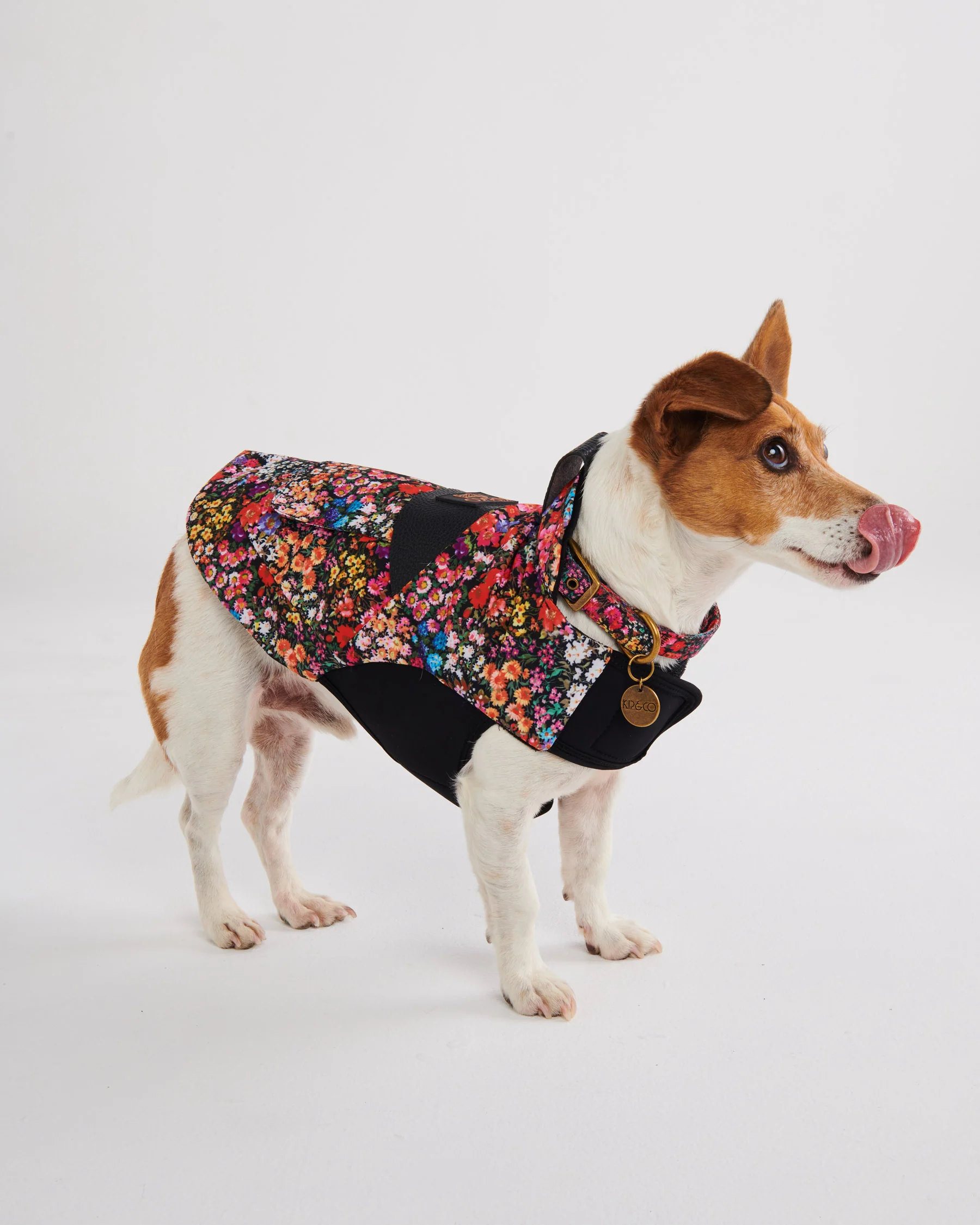 Forever Floral Black Dog Collar - Image 3