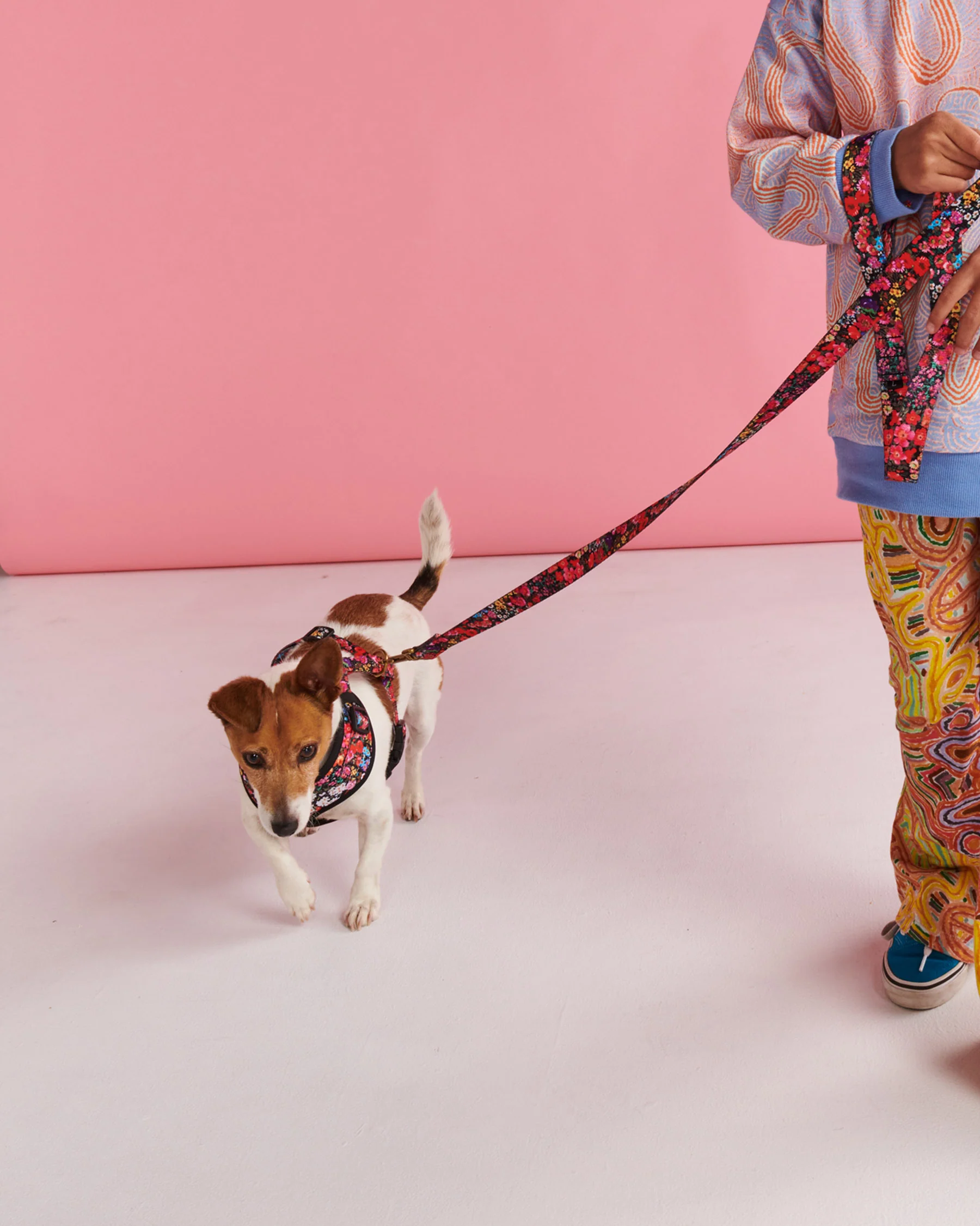 Forever Floral Black Dog Harness - Image 6
