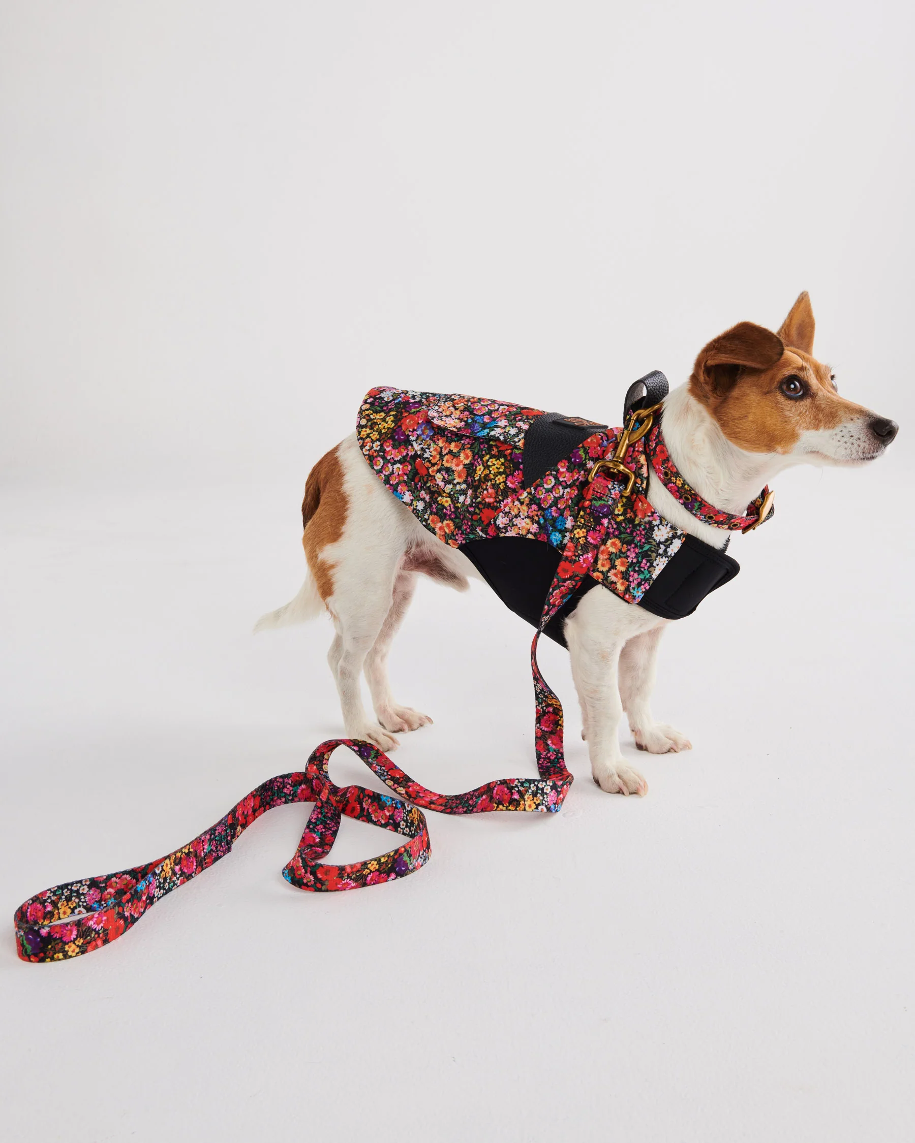 Forever Floral Black Dog Jacket - Image 4