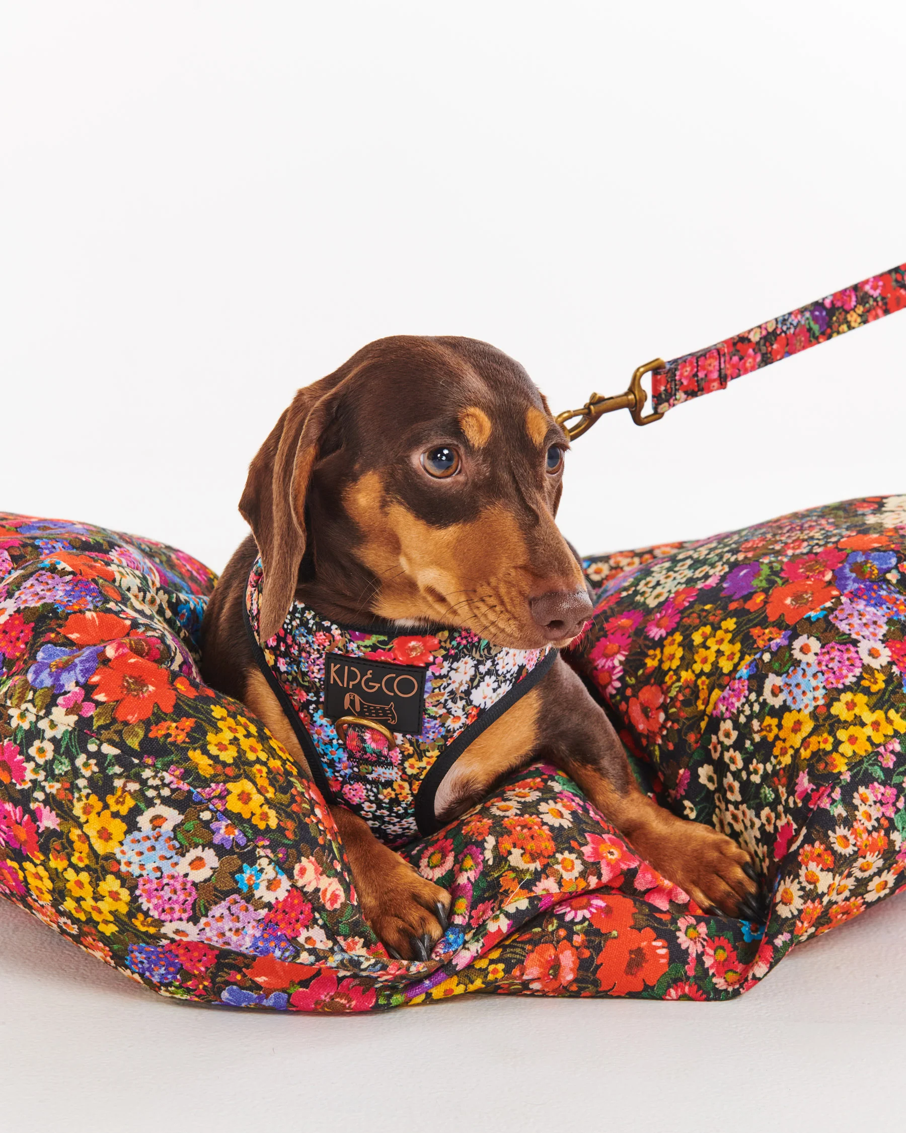 Forever Floral Black Dog Lead - Image 6